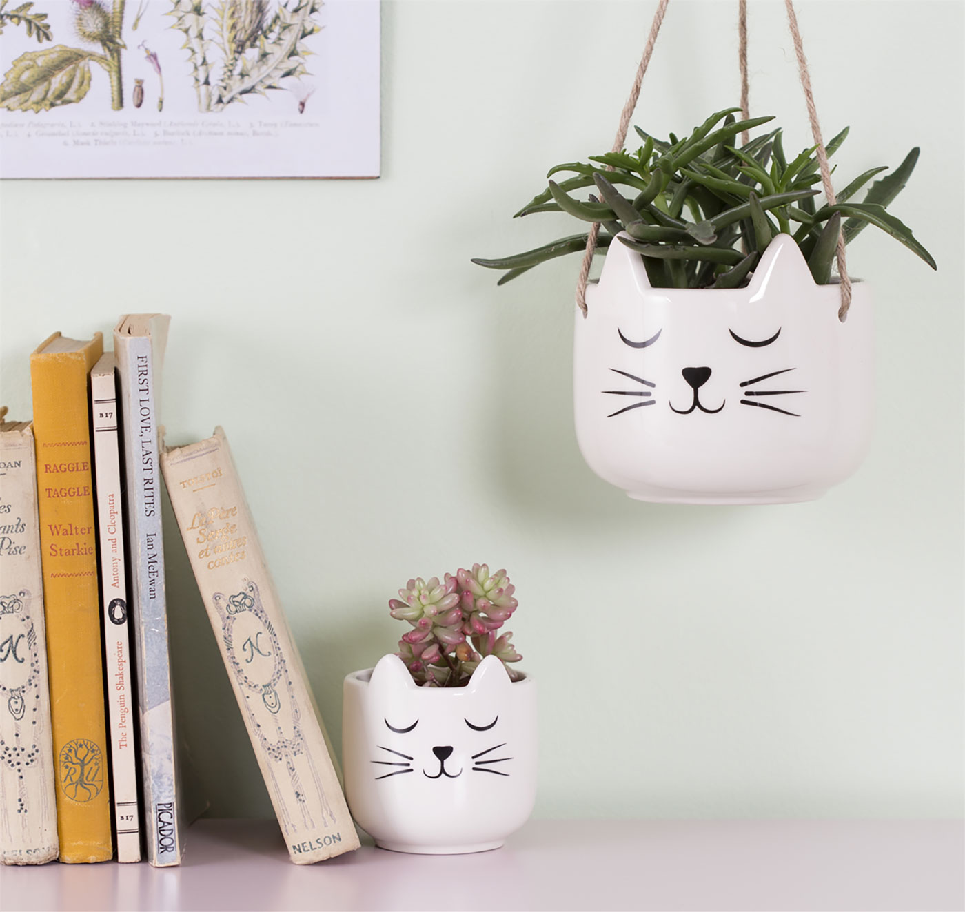 Cat's Whiskers Planters