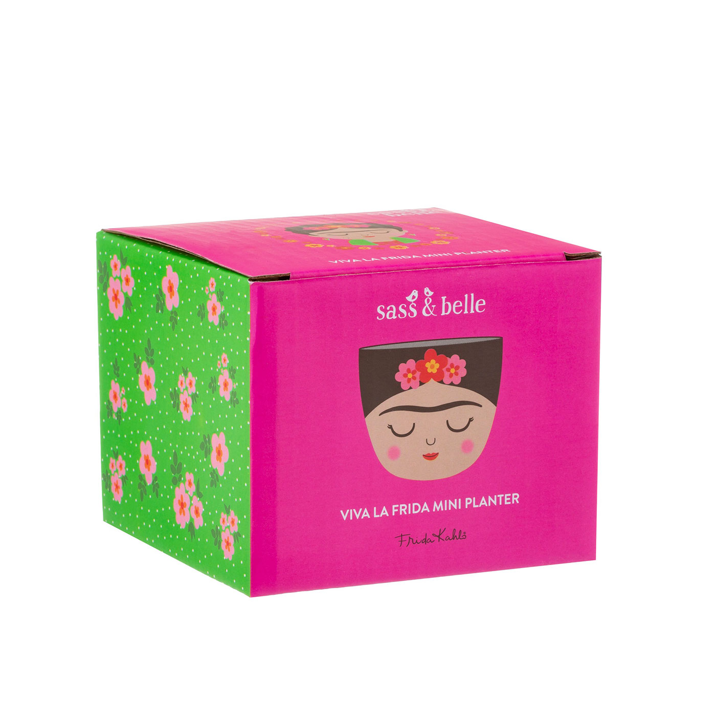 Mini Frida Planter Packaging