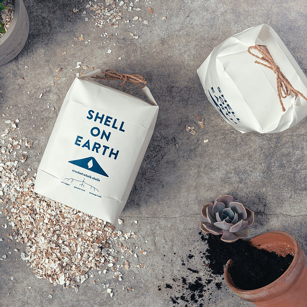 Shell on earth