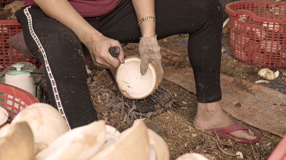 Producing sustainable coconut bowls